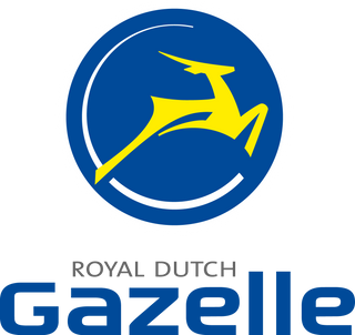 Gazelle Ebike